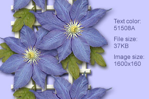 clematis1