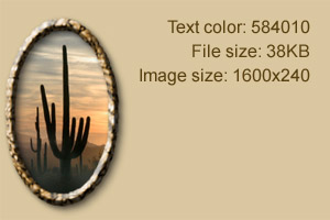 saguaro1