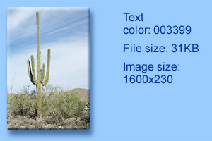 saguaro2